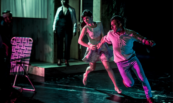 Ensayo sobre La gaviota de Marcelo Savignone